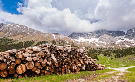 Mountains landscape with pile of logs in the foreground. Plateau of Montasio, Alpsの写真素材