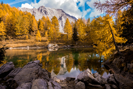Colorful autumn landscape mountain. Mountains, lake and colrful trees. Italy, Friuli, Lake of Bordaglia.の写真素材