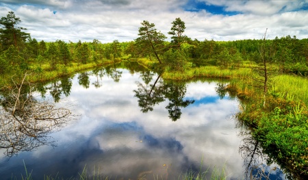 Beautiful wetland  Yaroslavl region, Russia の写真素材