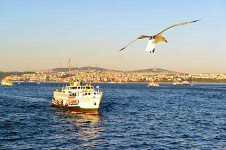 Tourist boat floats along the Bosphorus on the background of the Asian part of Istanbul, Turkeyのeditorial素材