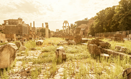 The Roman Forum in Rome Italyの写真素材