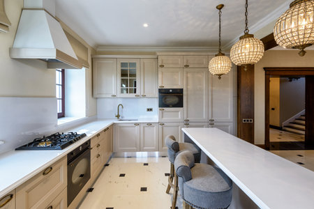 Modern kitchen interiorのeditorial素材