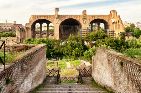 Roman Forum in Rome, Italy. The Basilica of Maxentius and Constantine in the distance.のeditorial素材