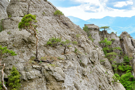The Demerdji mountain. Landscape of Crimea, Russia.の写真素材