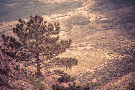 Scenic vew of the valley from the southern slope of the Demerdji mountain with a lone tree. Landscape of Crimea, Russia.の写真素材