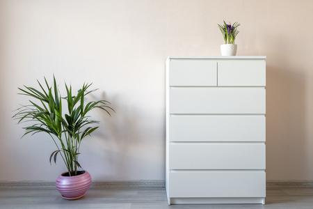 Modern office interior with cabinet and plantsの写真素材
