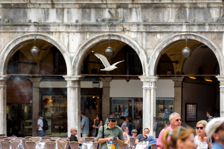 Venice, Italy - May 19, 2017: The seagull flies over the tourists on the Saint Mark`s Square in Venice, Italy. Saint Mark`s Square (Piazza San Marco) is the main square of Venice.のeditorial素材