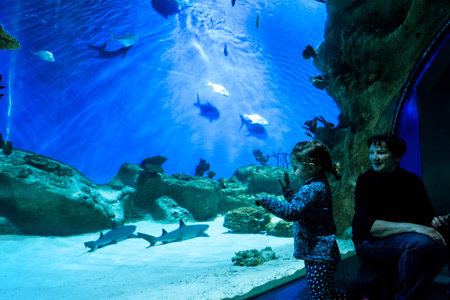 Moscow - April 2, 2018: Little girl looks at sharks in blue aquarium. Happy child watches a fish in beautiful aquarium. Baby with her grandmother in the aquatic zoo. Family visit the large aquarium.のeditorial素材