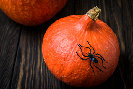 Halloween holiday background with pumpkins and black spider on a dark wooden table. Close-up natural reddish pumpkins on vintage boards for Halloween celebration.の写真素材