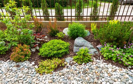 Landscaping in home garden. Beautiful natural landscape design with flower beds in summer. Scenic...