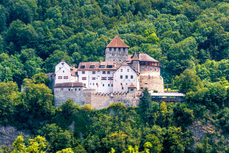 Vaduz Castle in Liechtenstein. This Royal castle is a landmark of Liechtenstein and Switzerland. Scenic view of fairytale castle in Alps mountains in summer. Old castle on Alpine forest background.のeditorial素材