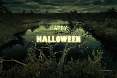 Haunted forest swamp on Halloween. Poster with spooky marsh or bog at night. Creepy view of dark mystery place in twilight. Scary gloomy landscape with Halloween typography. Horror and terror concept.の写真素材