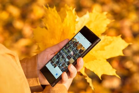 Woman using mobile phone outside. Hands holding cellphone and maple leaves. Adult girl looks at smartphone in autumn park. Person watching cell phone on street on sunny fall day. Technology concept.の写真素材