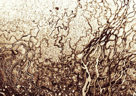 Pattern of terrain on satellite photo, Earth from space. Aerial view of river delta, abstract...
