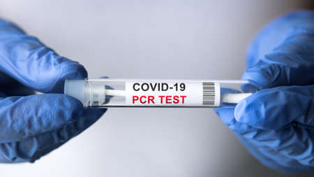 COVID-19 PCR test in doctor hands close-up, nurse in white holds coronavirus swab collection kit. Concept of corona virus diagnostics, medical testing, cure and treatment during coronavirus pandemic.の写真素材