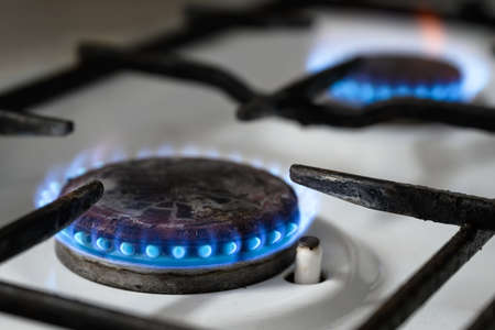Gas stove at home, natural propane gas burns in kitchen, blue fire flame of burners for cooking....