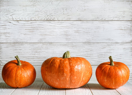 Pumpkins on wood white texture background for Halloween theme. Vegetables set, orange pumpkins on light wooden planks. Halloween, thanksgiving, design, food, fall, harvest, squash and nature concept.の写真素材