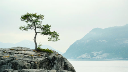 Lonely tree on cliff top on sky background, scenic view of mountains in summer, amazing landscape with rock and lake. Concept of nature, minimalism, pine, outdoor, scene. Generative AIの素材