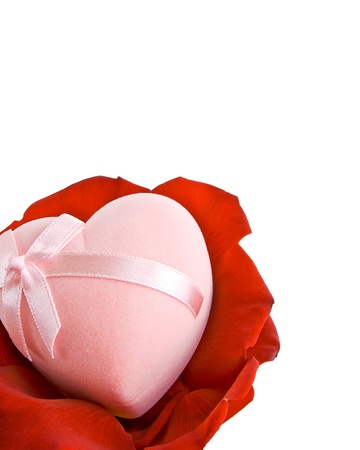 Heart on petals of roseの写真素材