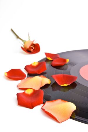 Rose, petals and record plate isolated on the white.の写真素材