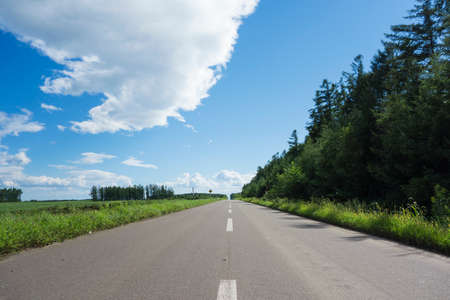The road and the blue sky taken in Hokkaido 2013の写真素材