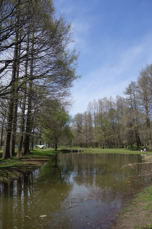 Landscape of holiday parks の写真素材