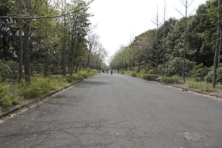 Landscape of holiday parksの写真素材