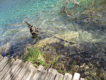 Shooting nature of Croatiaの写真素材