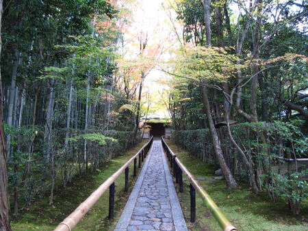 the autumn park pathway in Kyotoの写真素材