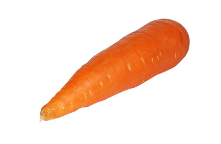 carrotの写真素材