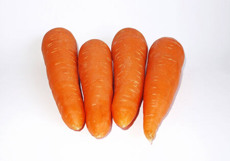 Shooting of carrotの写真素材