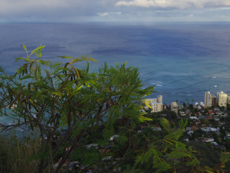 Landscape of Hawaiiの写真素材