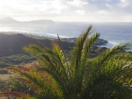 Landscape of Hawaiiの写真素材