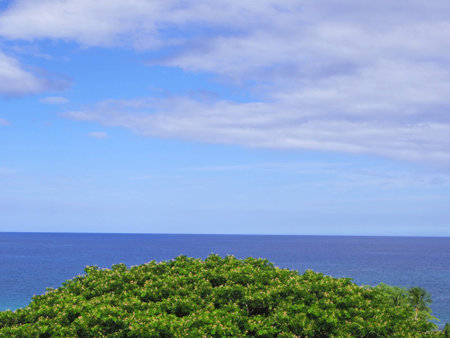 Sea of Hawaiiの写真素材