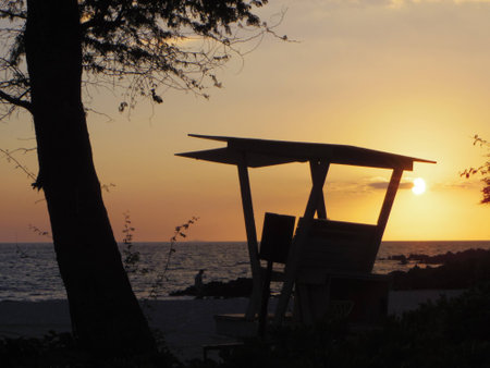 Sunset beach and Hawaii の写真素材