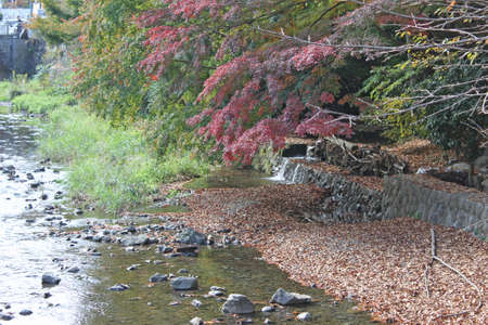 Autumn leaves and riverの写真素材