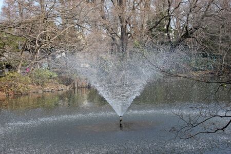 Park of sprinklerの写真素材