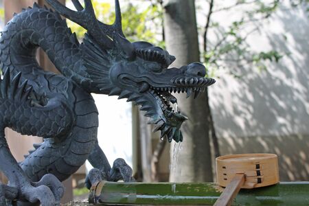 Dragon elephantの写真素材