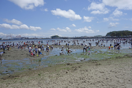 Clammingのeditorial素材