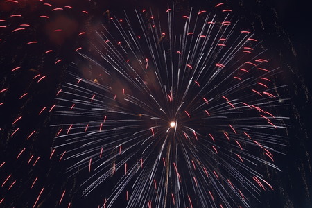 fireworksの写真素材