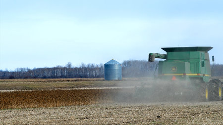 GRYGLA, MN - 02 NOV 2018: John Deere Combine harvesting field of soybeans for food and other products. Video footage available.のeditorial素材