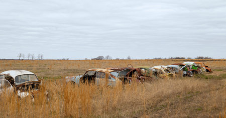 OKEMAH, OK - 2 MAR 2020: Row of wrecked and rusty Volkswagon cars with missing parts and broken...