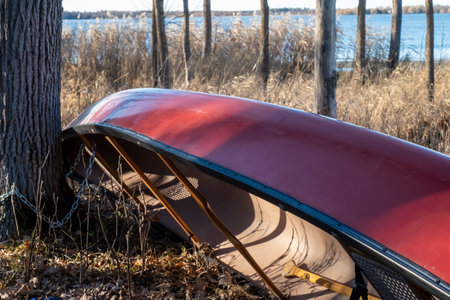 A red canoe rests quietly against a tree trunk near a Minnesota lake.の写真素材