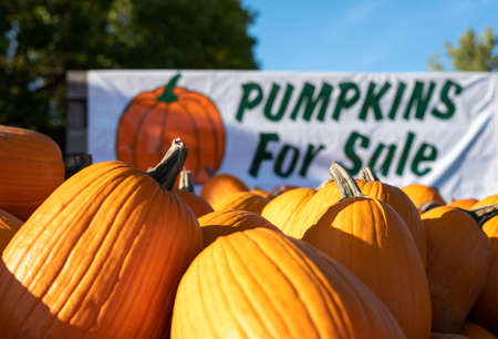 Closeup of pumpkins for sale on a trailer at a roadside farm, being sold using the honor system. Closeup with shallow depth of field focus. Sign is out of focus.の写真素材
