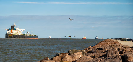 PORT ARANSAS, TX â 17 FEB 2023: The South Jetty rocks and concrete sidewalk, with people, birds, cars and several ships on the water of the Gulf of Mexico on a mostly sunny day.のeditorial素材
