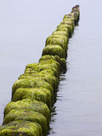 Sea. Breakwaters of defending sandy beach in front of waves.の写真素材