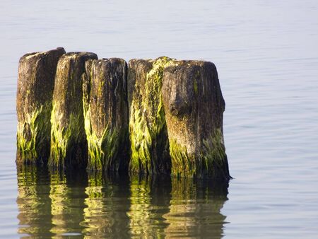 Sea. Breakwaters of defending sandy beach in front of waves.の写真素材