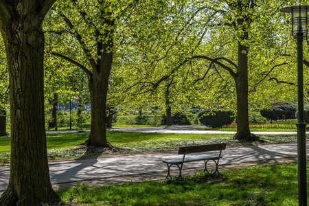 City park in the spring is the perfect place to relaxの写真素材