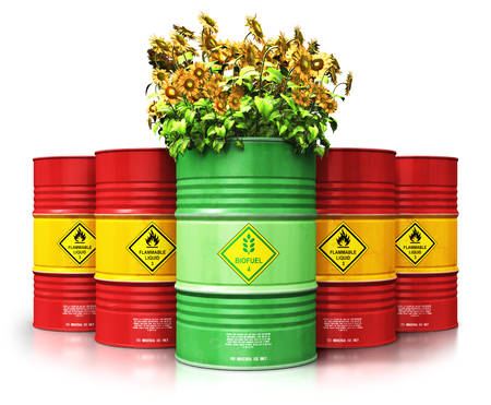 Creative abstract ecology, alternative sustainable energy and environment protection saving business concept: 3D render illustration of green biofuel or biodiesel barrel with yellow sunflowers flowers in front of the group of red metal oil, petroleum or gas drums isolated on white background with reflection effectの写真素材