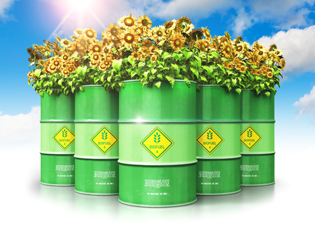 Creative abstract ecology, alternative sustainable energy and environment protection saving business concept: 3D render illustration of the group of green metal biofuel drums or biodiesel barrels with yellow sunflowers flowers against blue sky with clouds and sun light isolated on white background with reflection effectの写真素材